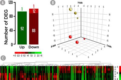 Skin Multi-Omics-Based Interactome Analysis: Integrating the Tissue and Mucus Exuded Layer for a Comprehensive Understanding of the Teleost Mucosa Functionality as Model of Study